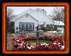 frame_side_snow