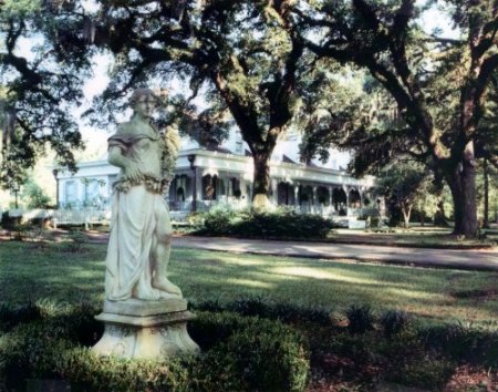 myrtles