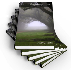 Pasted Graphic 4